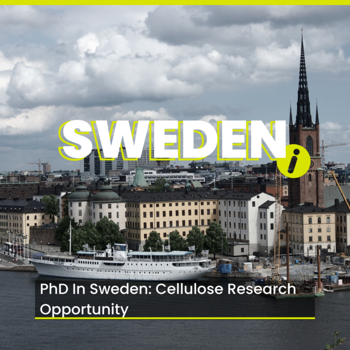 PhD In Sweden: Cellulose Research Opportunity